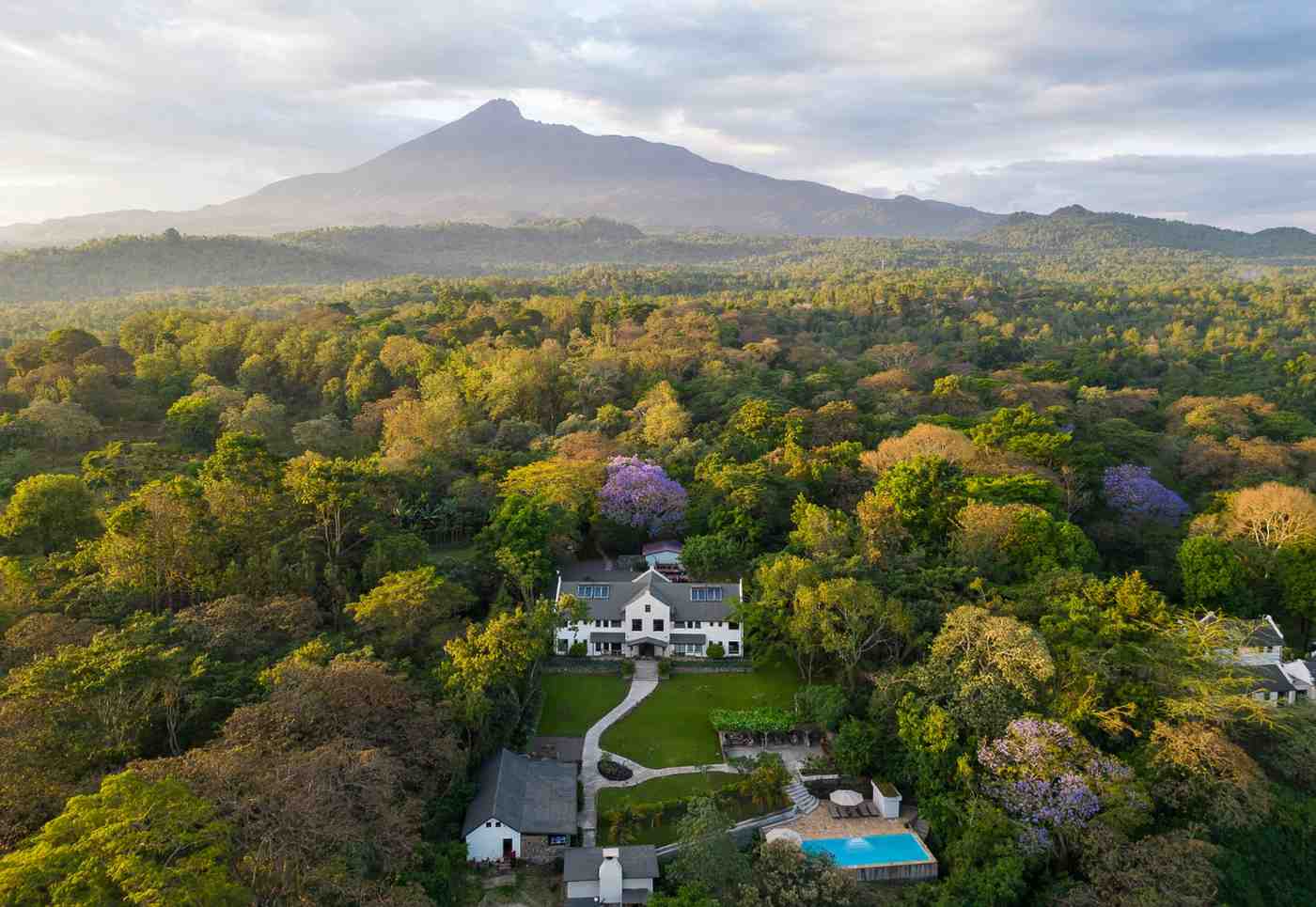 Arusha Villa drone view of coffee estate