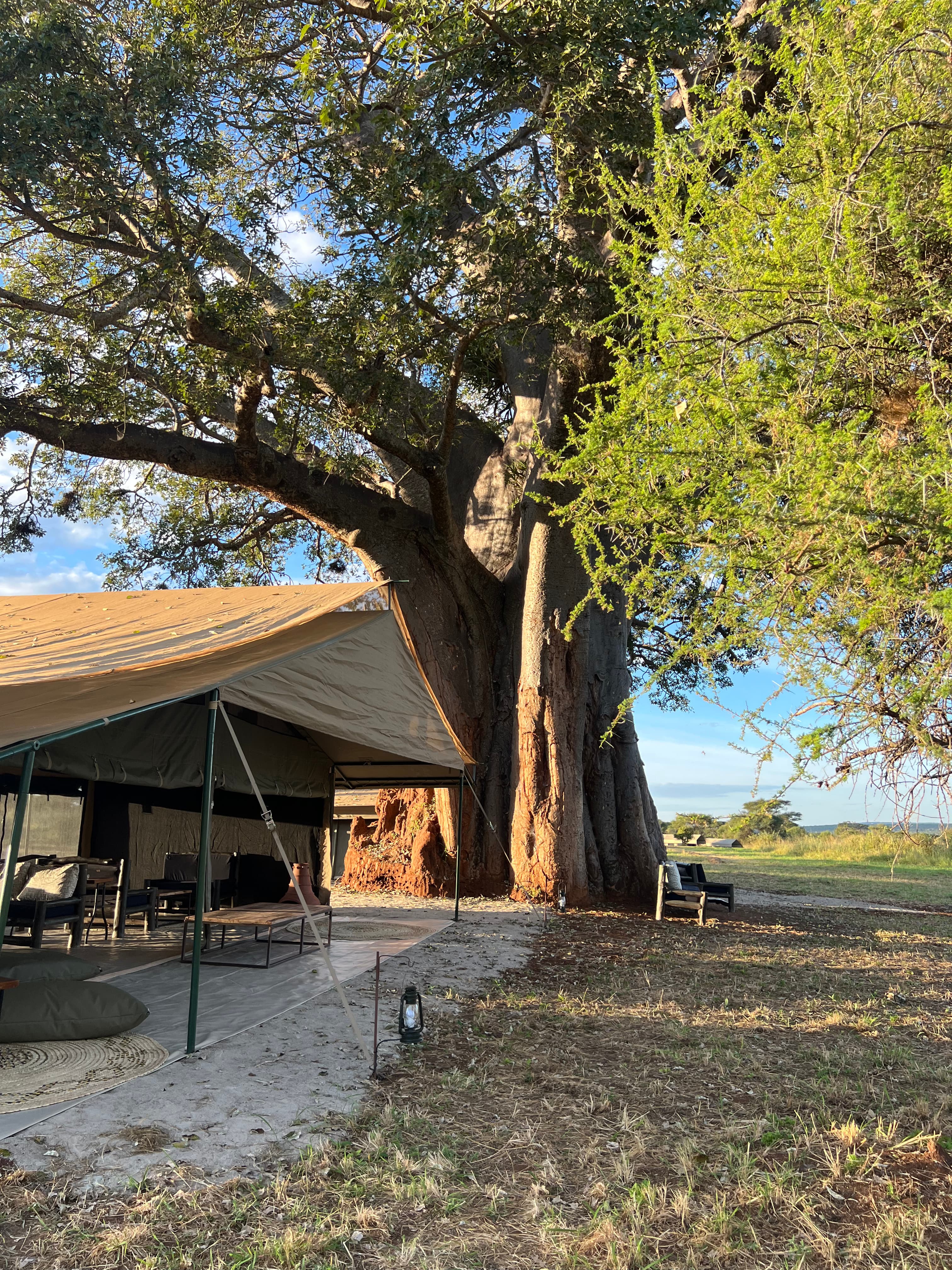 Tarangire Kati Kati Tented Camp mobile bushcamp