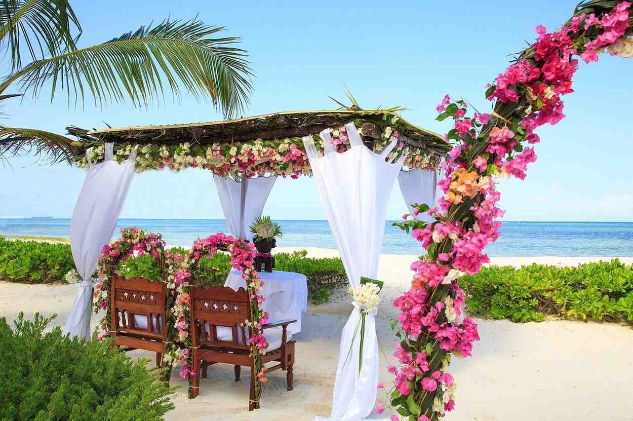 Next Paradise Boutique Resort accommodation image