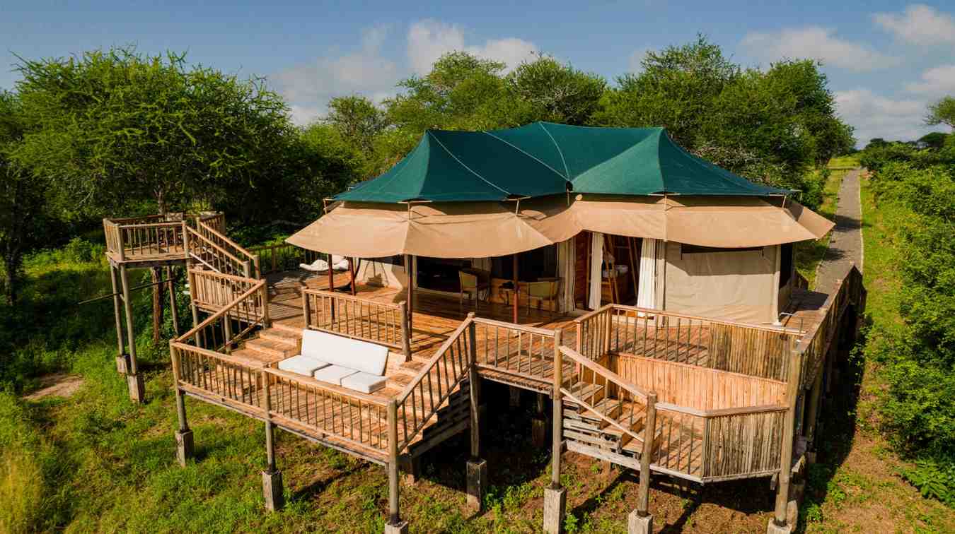 SerianTarangireCamp16 — Images from the Tarangire day drive accommodations itinerary in Tanzania
