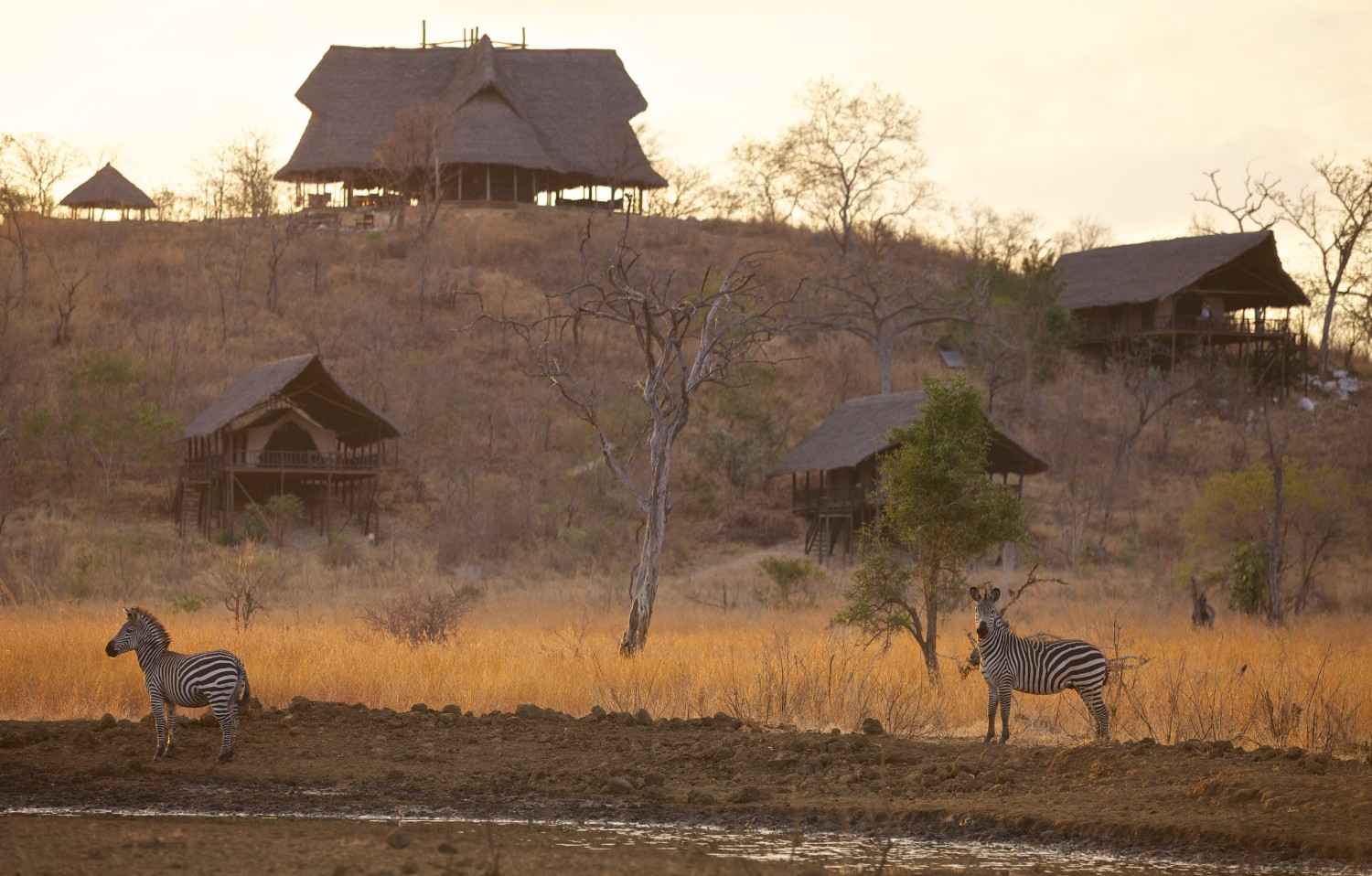 Images from the Mikumi game drives accommodations itinerary in Tanzania photo 1