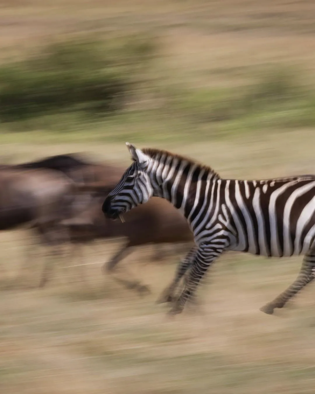 7-Day Kenya Classic Safari