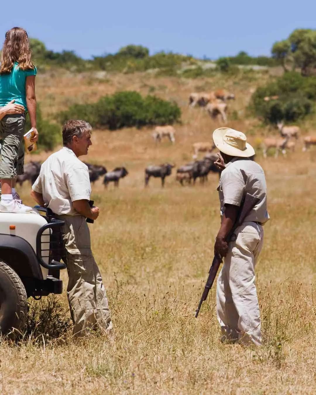 7-Day Tanzania Safari: Serengeti & Ngorongoro