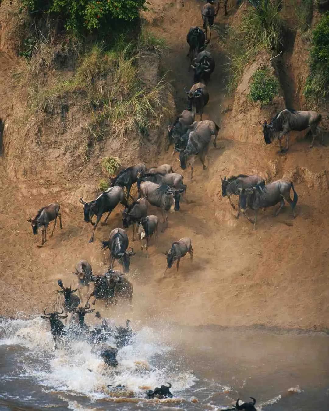 9-Day Great Migration Safari — Northern Serengeti & Mara River