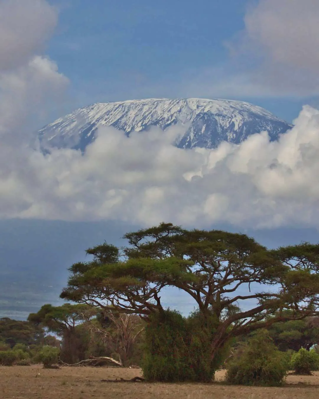 Rongai Route Kilimanjaro Trek