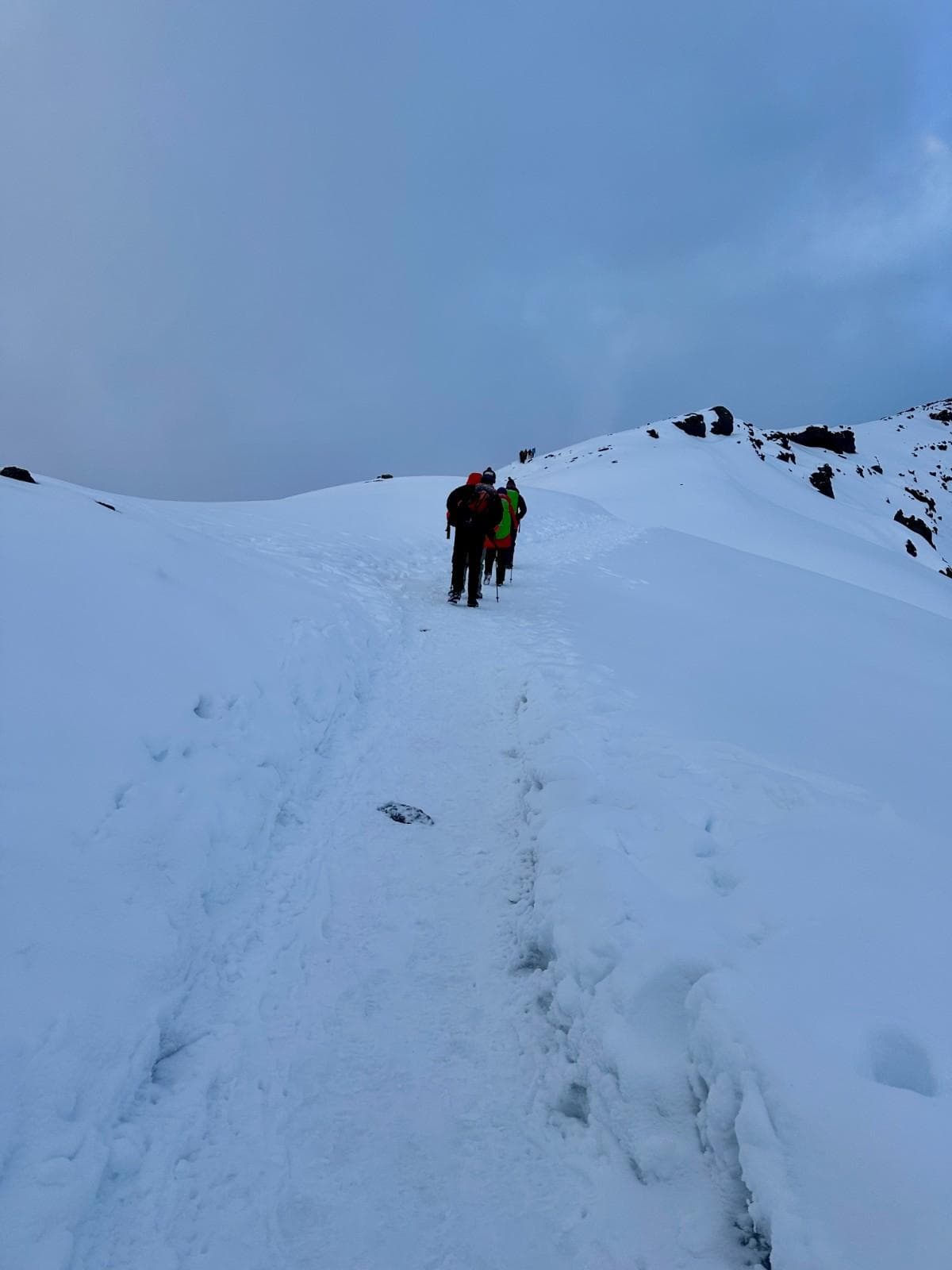 Northern Circuit Kilimanjaro Trek