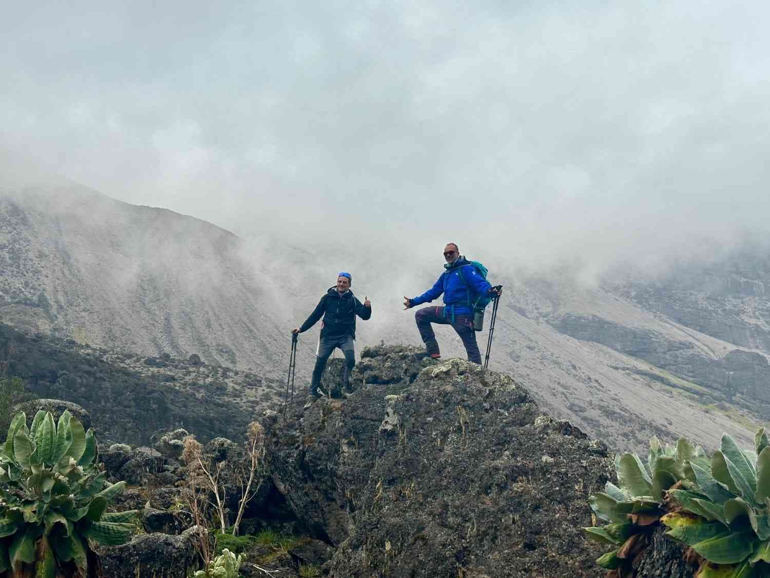Northern Circuit Kilimanjaro Trek