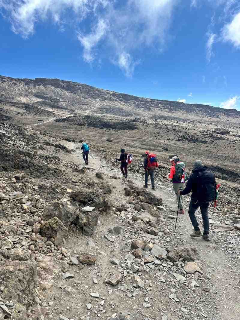 Lemosho Route Kilimanjaro Trek