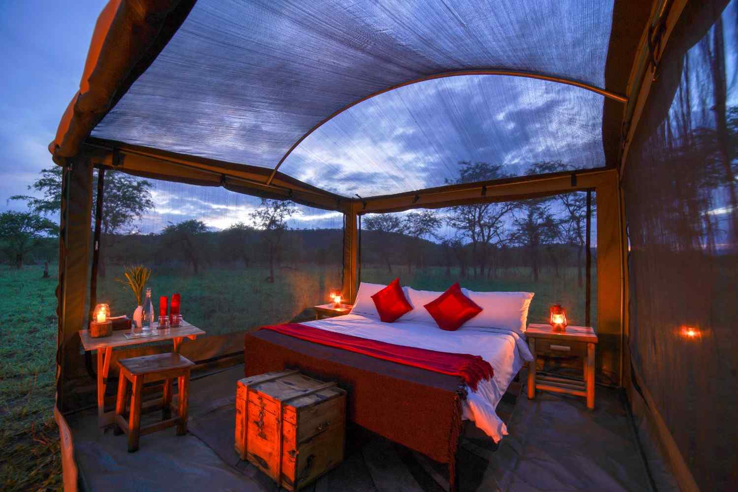 asanja-under-the-stars romantic star‑bed setup