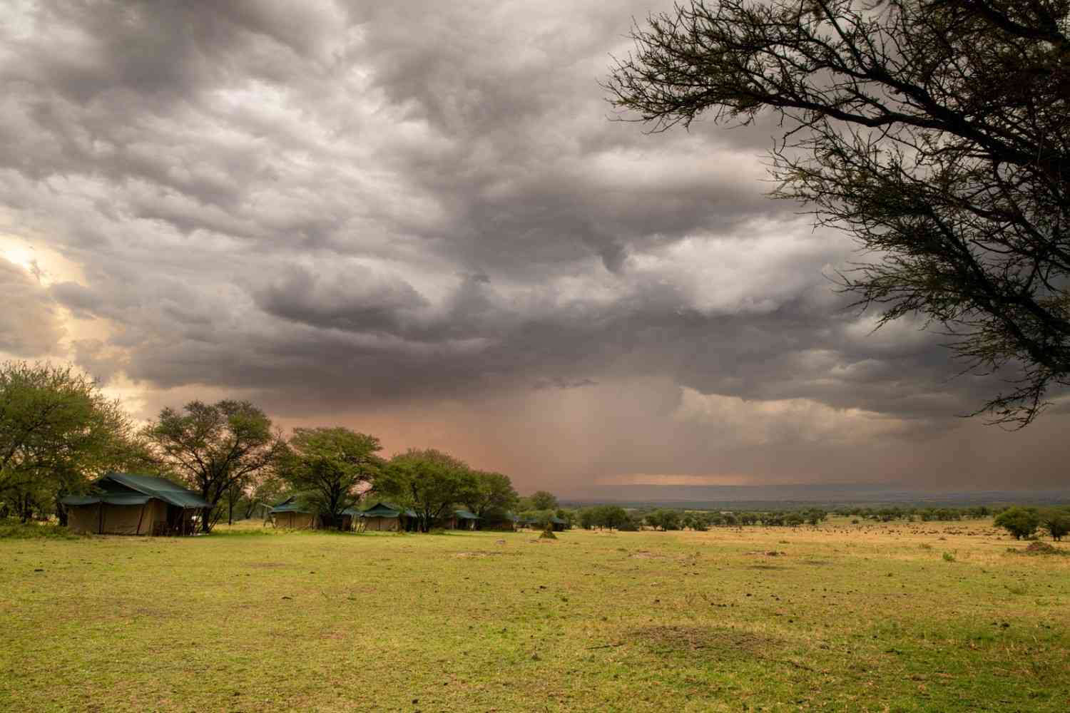 Mara Under Canvas tents with Mara plains beyond