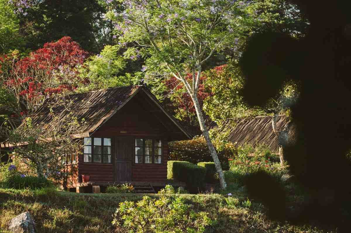 Mufindi Highland Lodge log cabin in tea estate