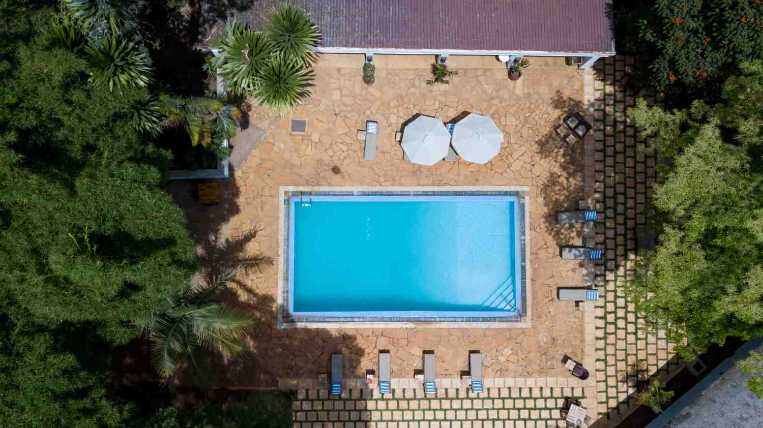 Ngorongoro Farm House aerial view of coffee plantation