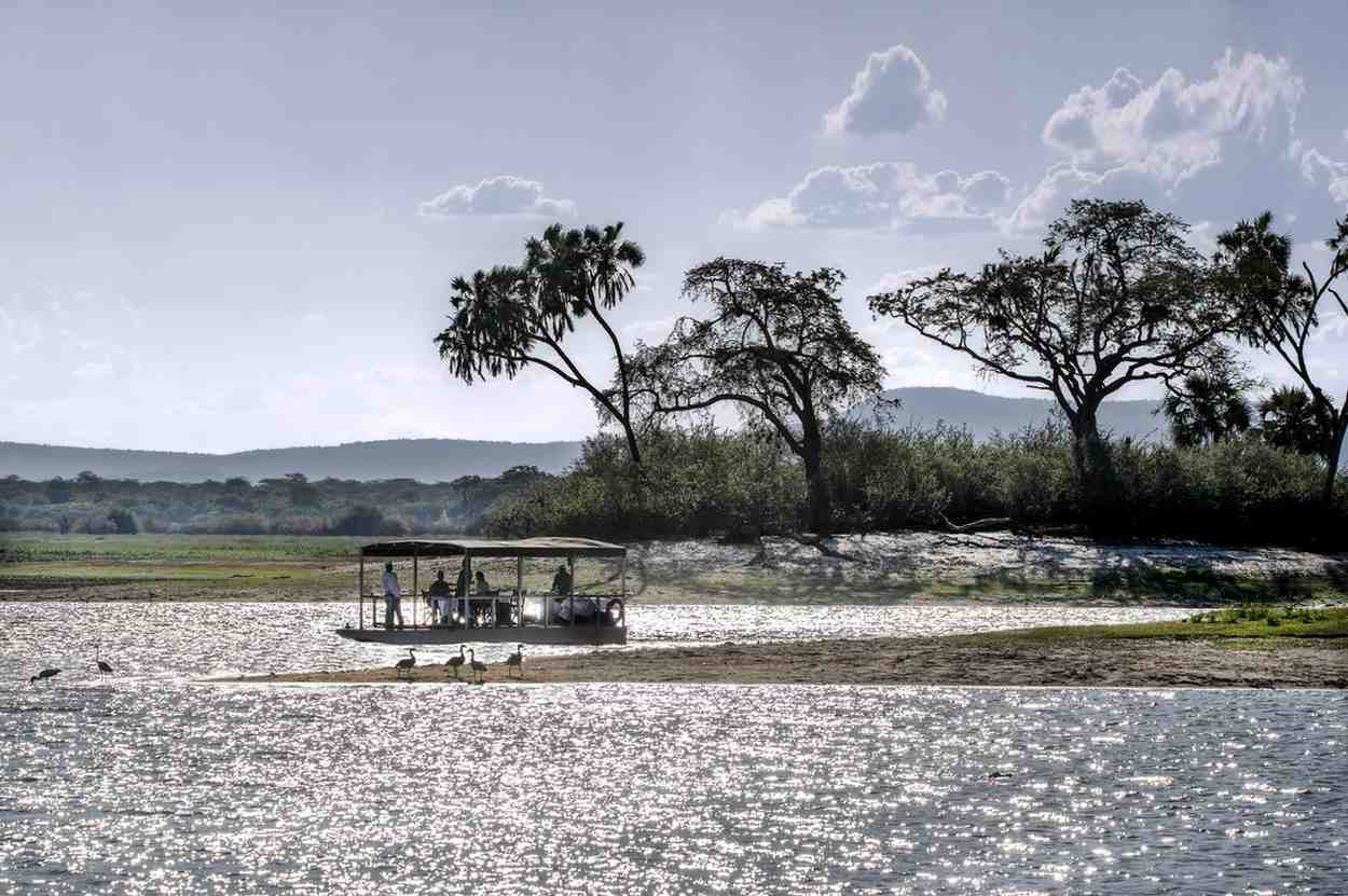 Boat safari on Rufiji River with hippos and crocodiles