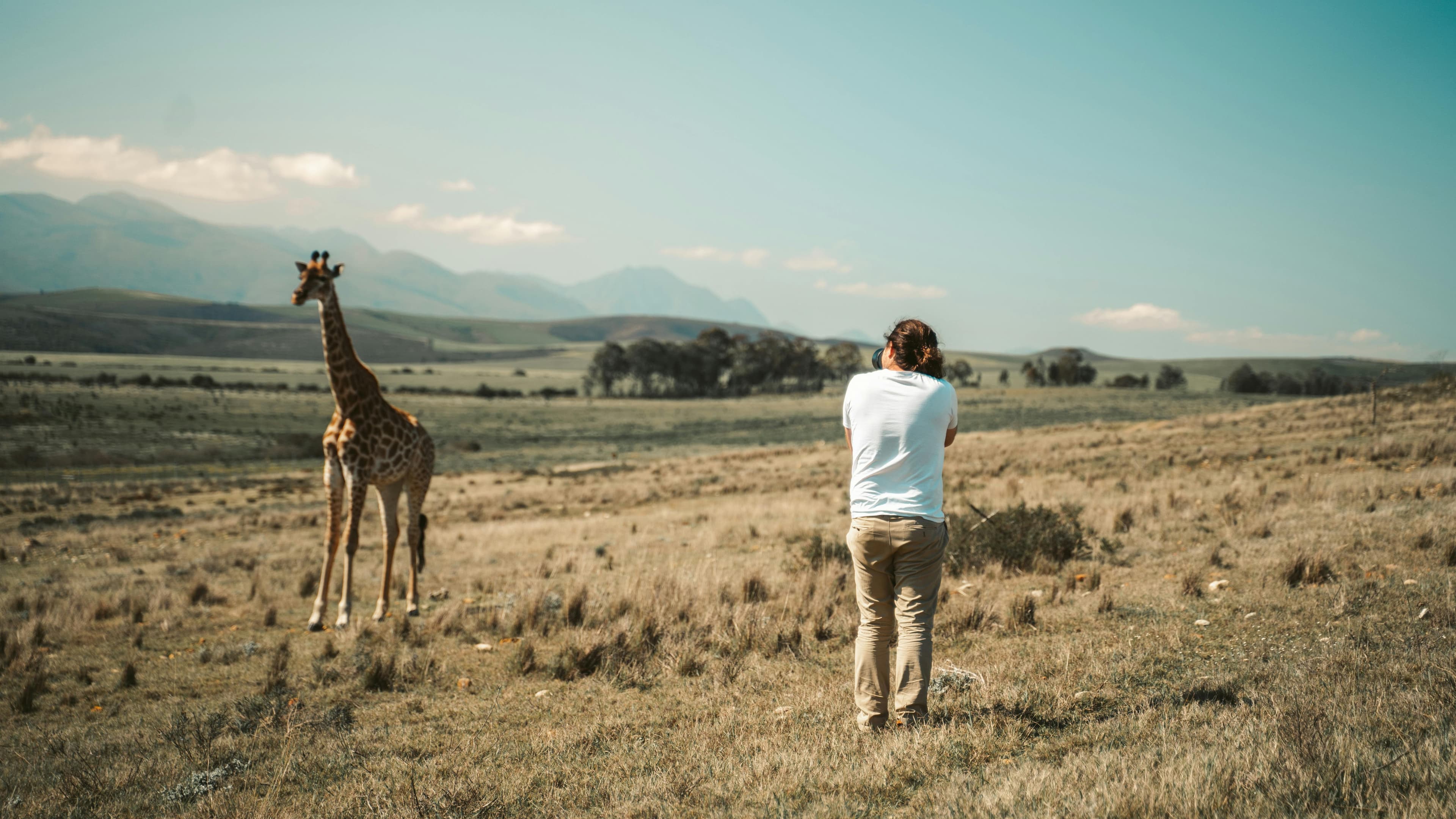 Gombe National Park