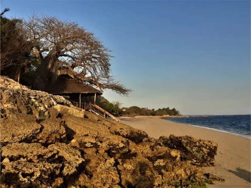 Exterior view of fumba beach lodge β fumba peninsula, menai bay conservation area accommodation in Tanzania