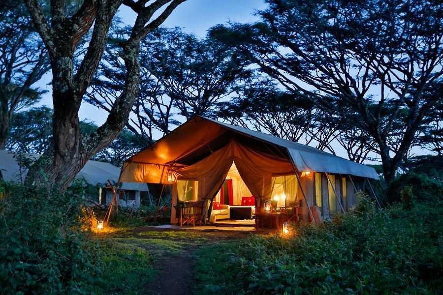 lemala ngorongoro tented camp accommodation image