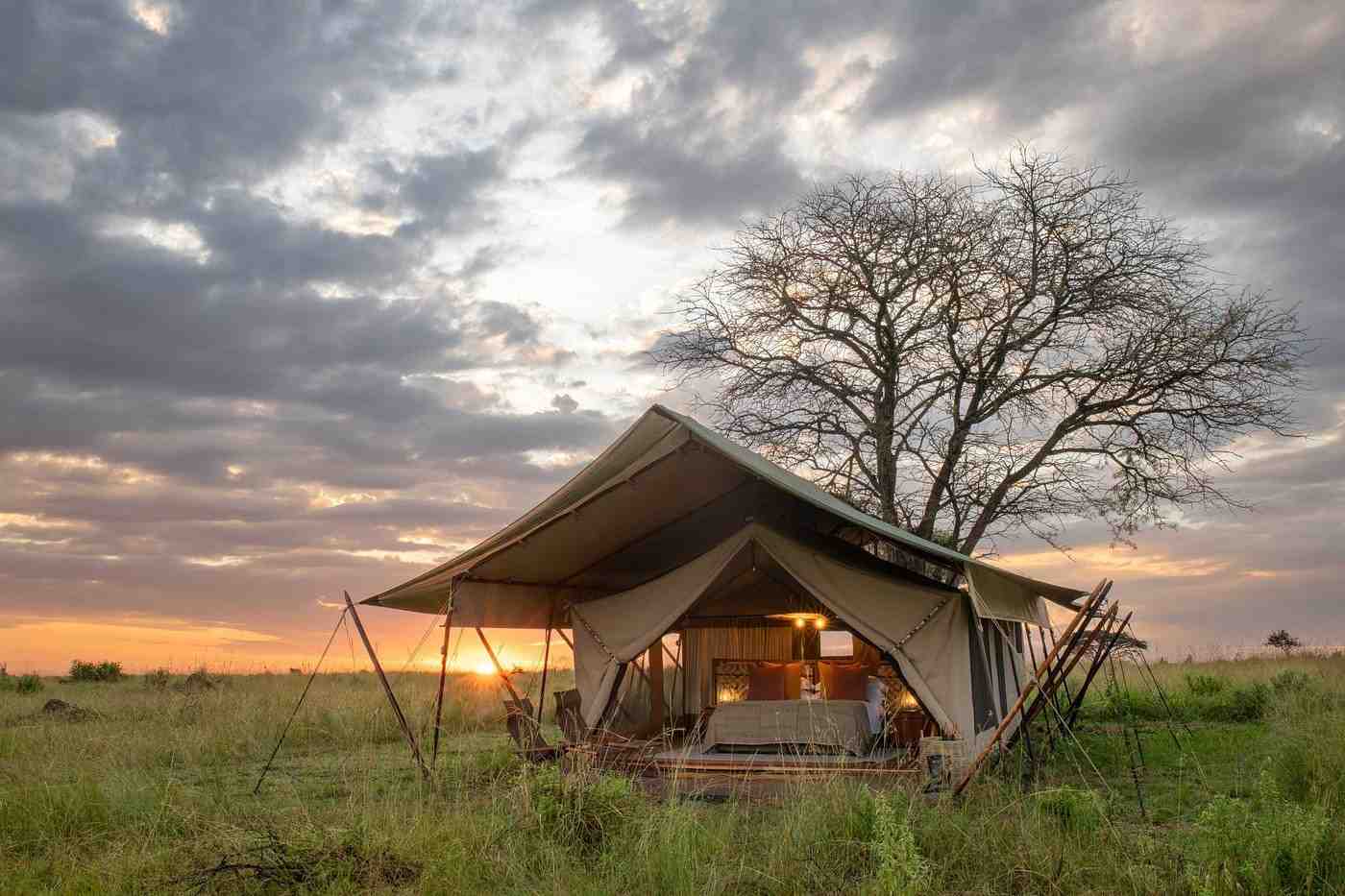 TAASA Migration Camp tented camp view