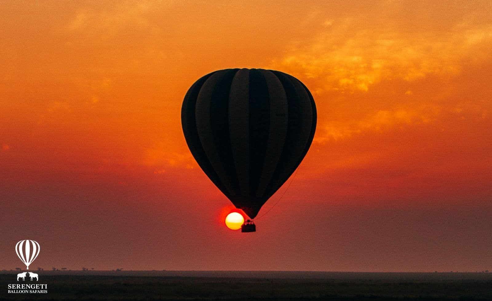 Golden hour over the plains