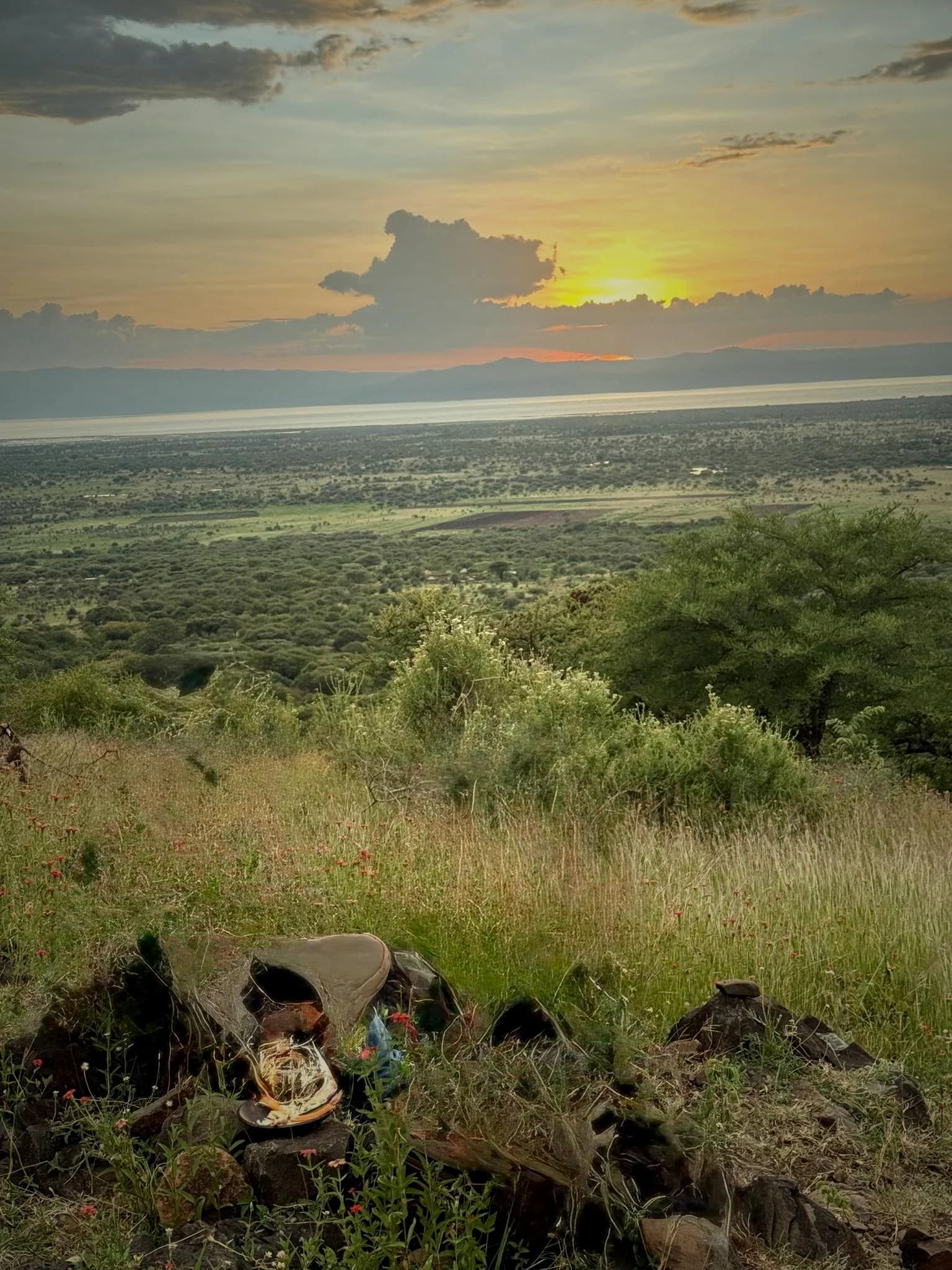 Lake Manyara