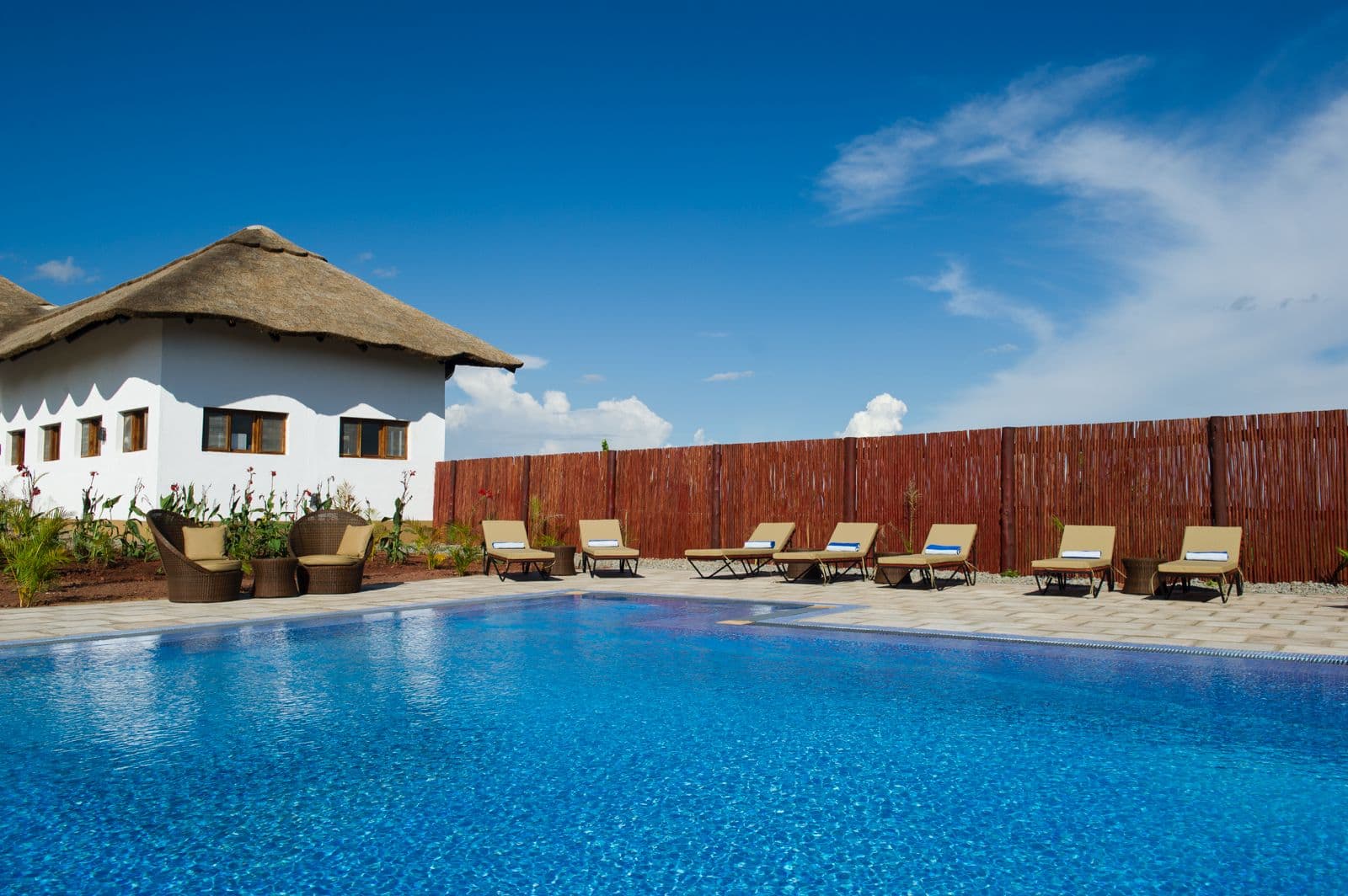 landscaped palm-lined pool with bandas in the background