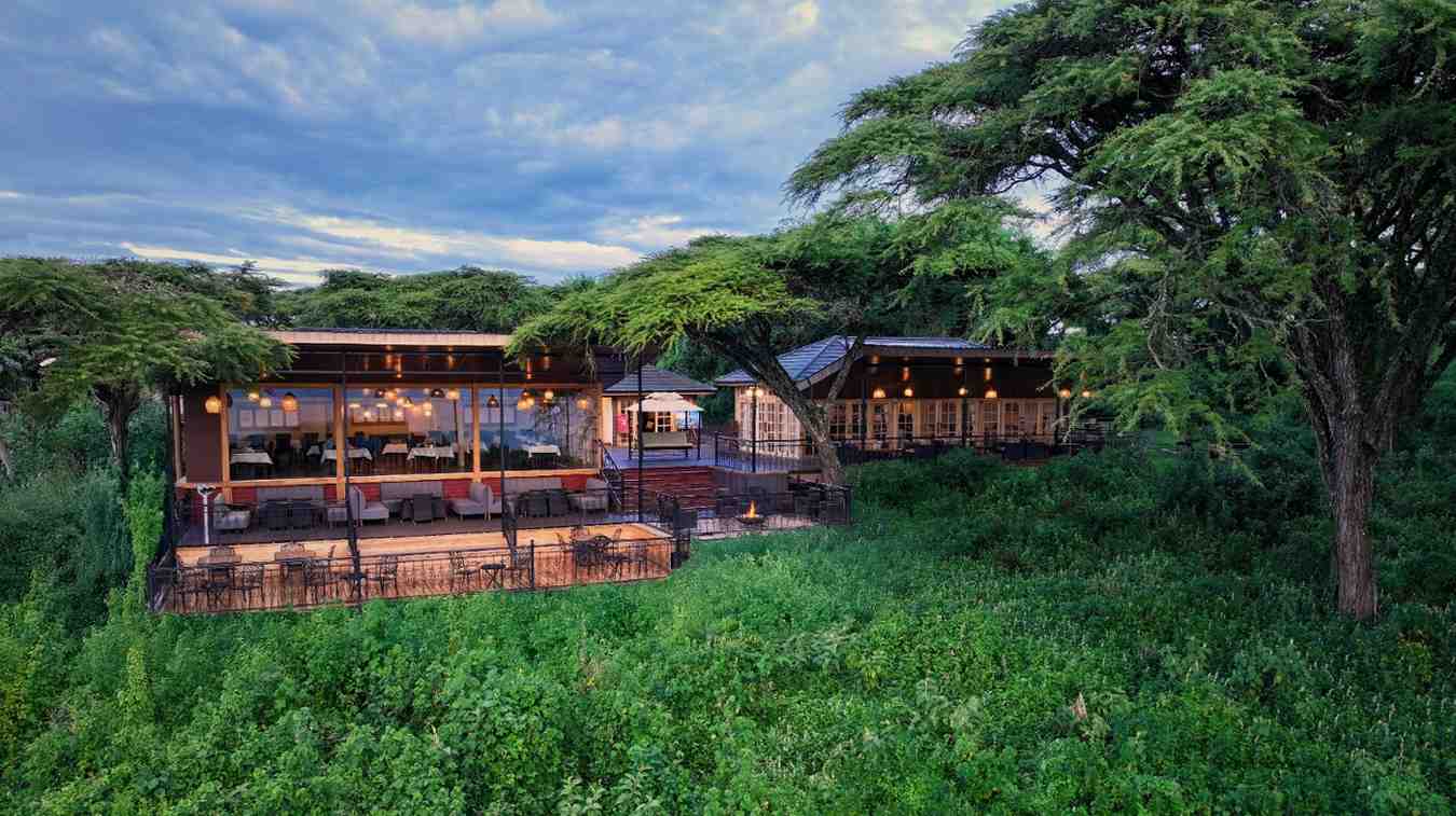 lpgeneral1 — Images from the Morning Serengeti drive then drive to Ngorongoro accommodations itinerary in Tanzania