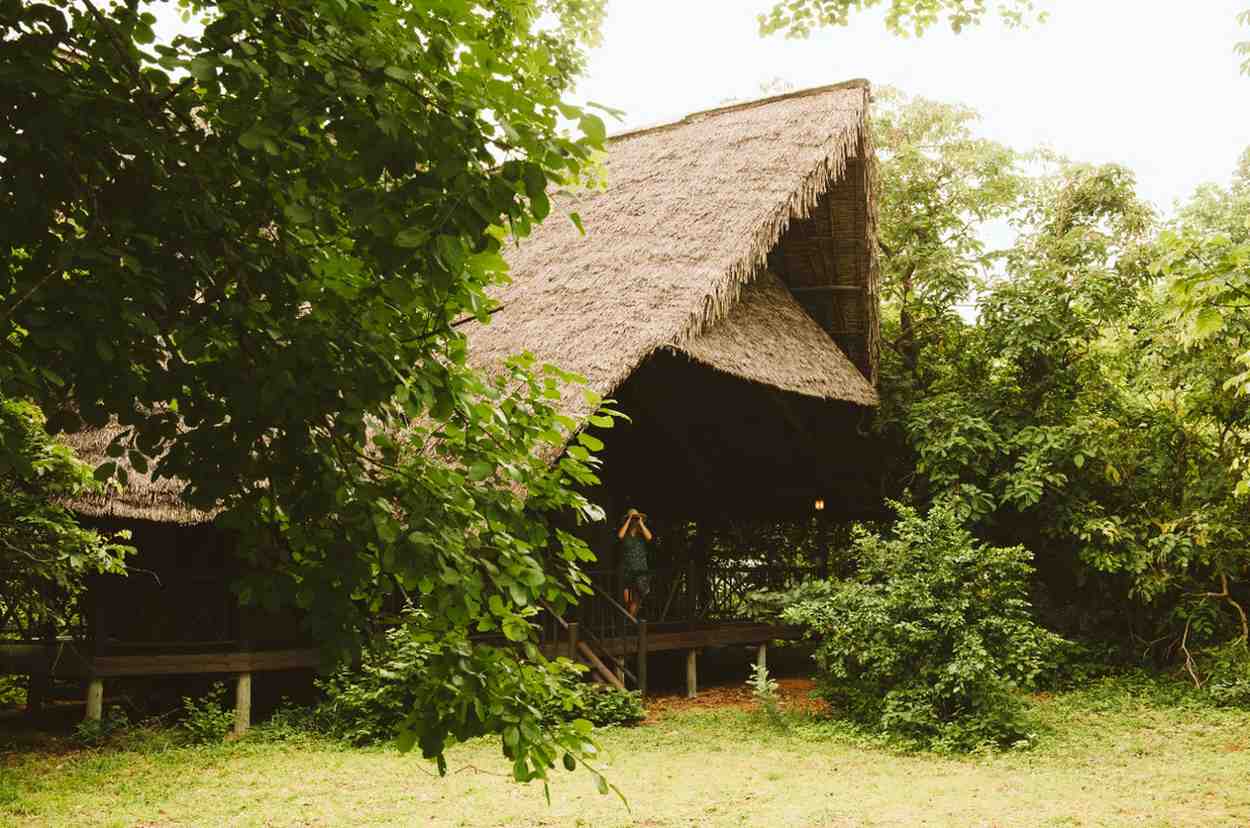 rufiji-river-camp-by-foxes-safari-camps Tented Camp in Selous featuring Boat Safaris, Rufiji River