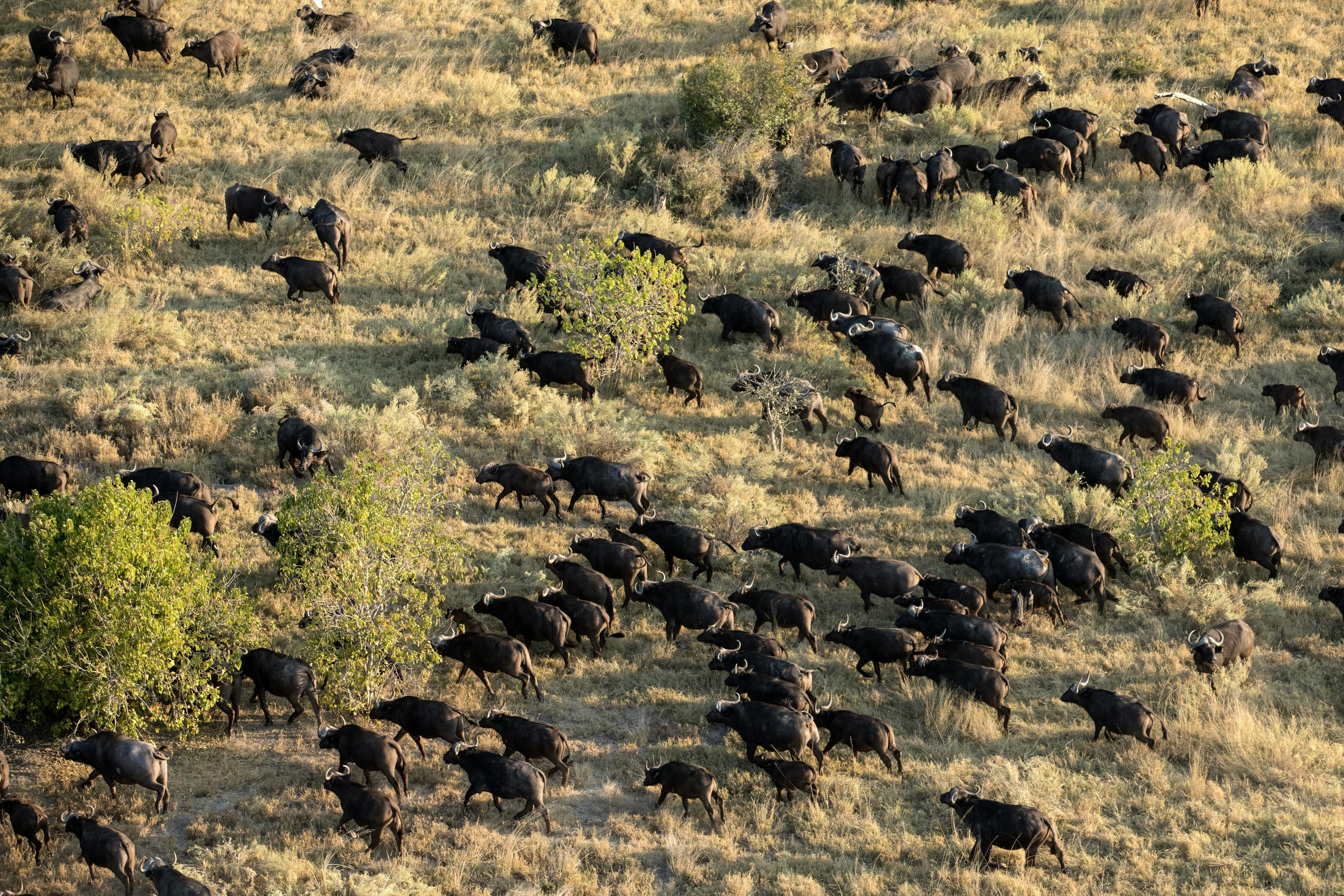 Serengeti National Park