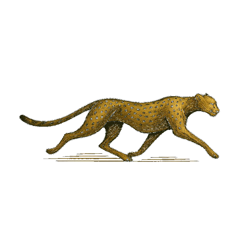 Trail Safari Explorers Cheetah Logo