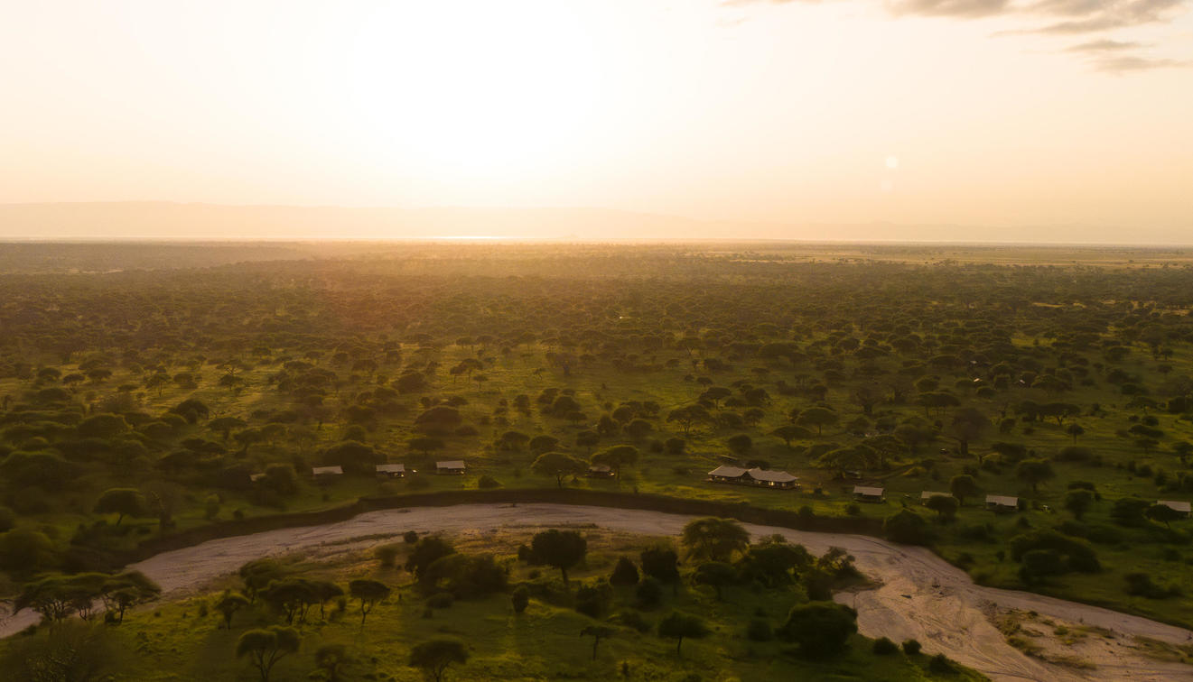 Tarangire