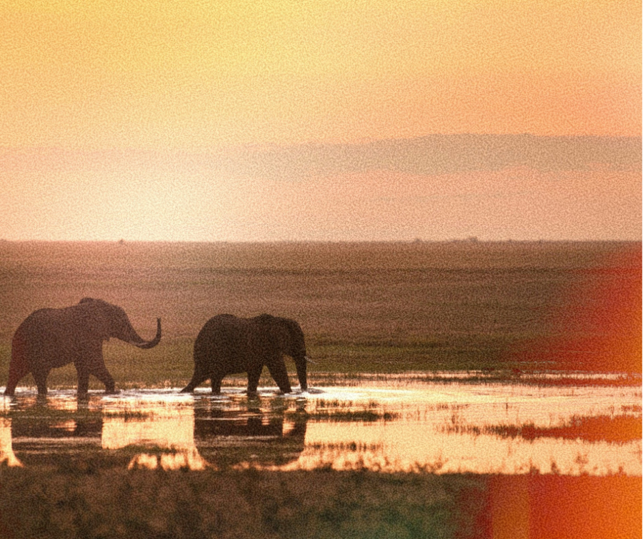 Arusha National Park