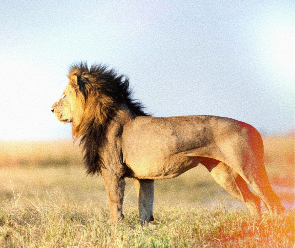 Tarangire National Park