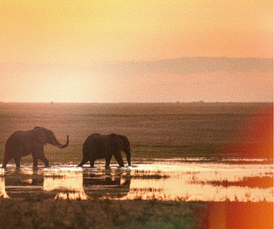 Arusha National Park