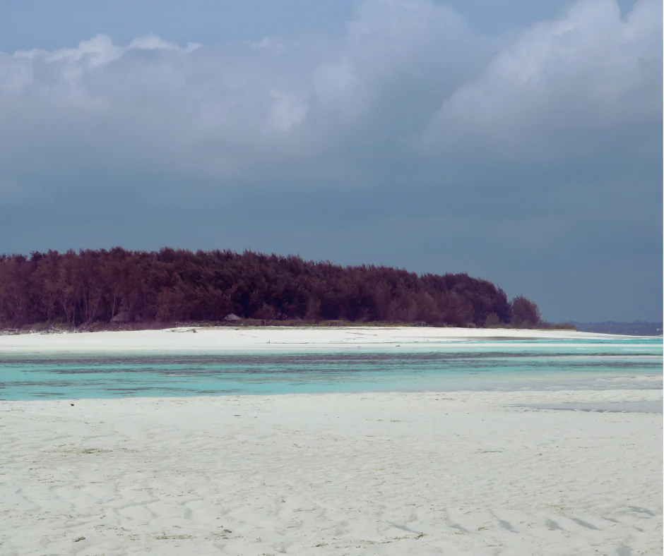 Beach and ocean scenery at Mnemba Island island escape