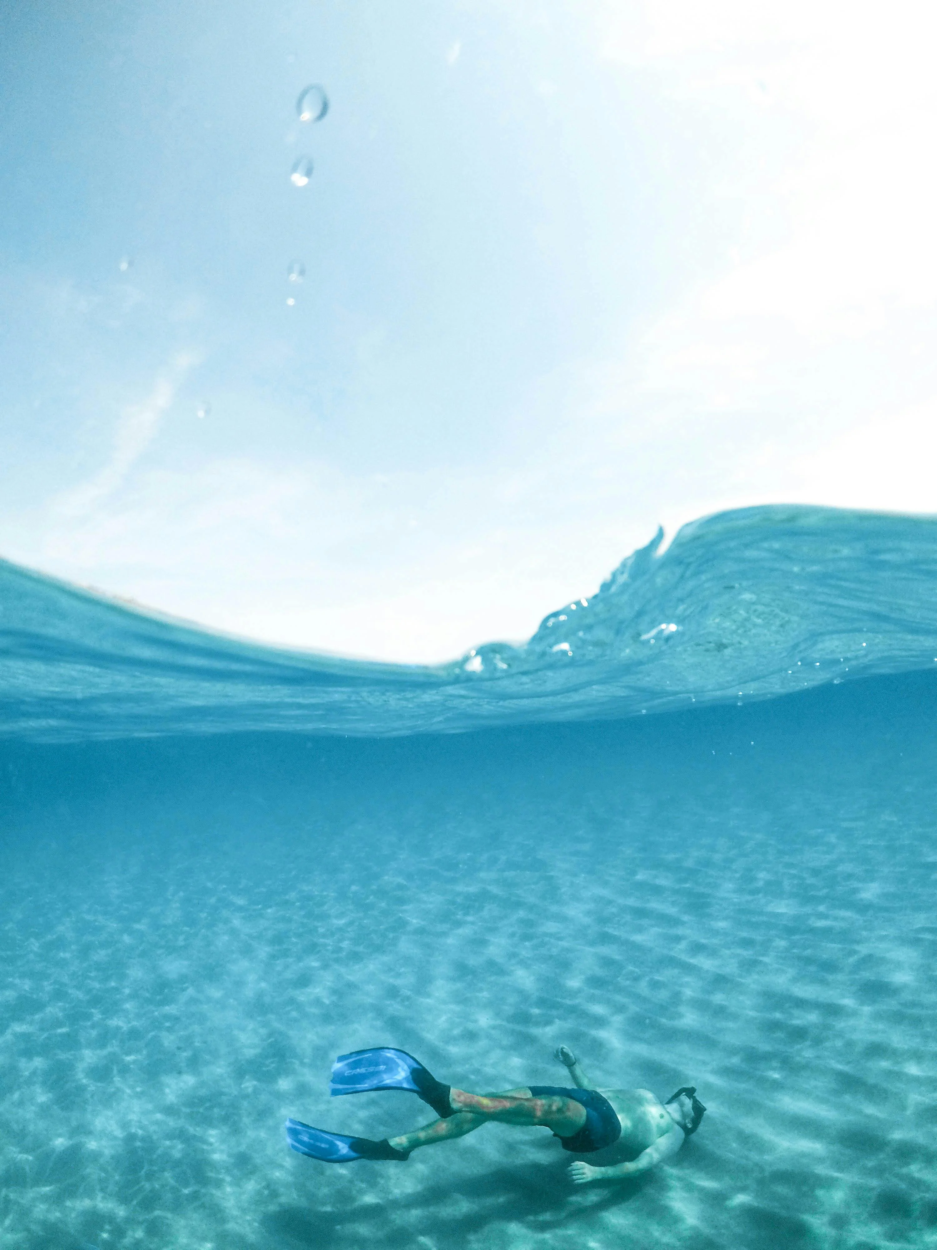 Snorkelling Trip to Mnemba