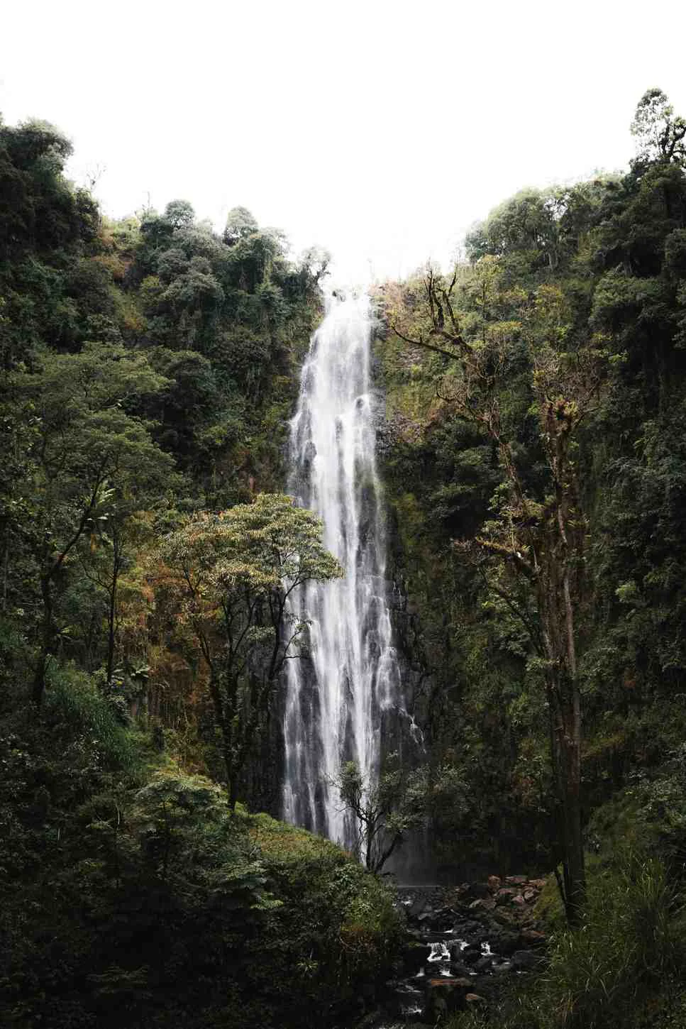 Waterfall picnic near Mount Kilimanjaro
