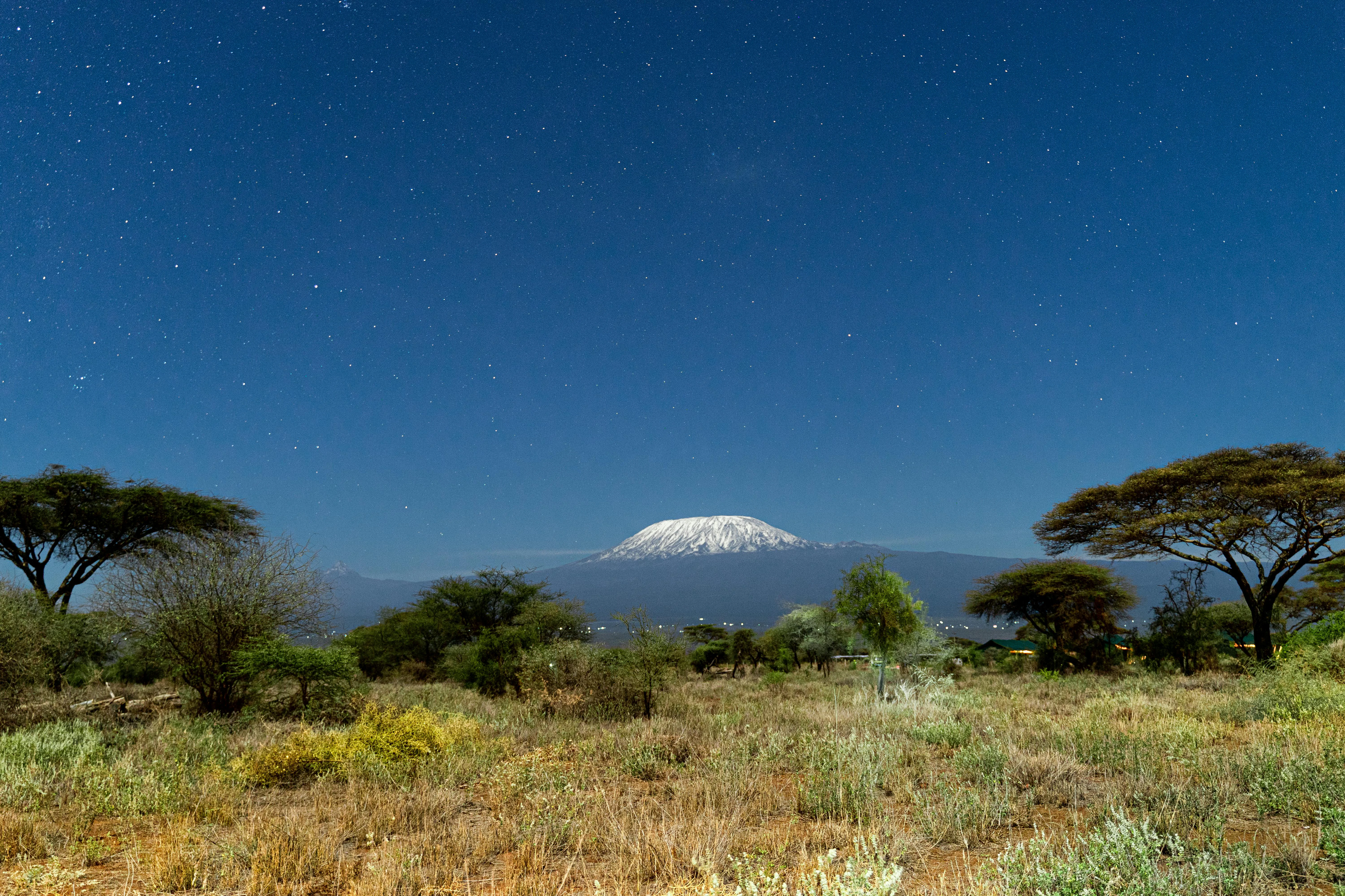 Planning a Tanzania safari journey