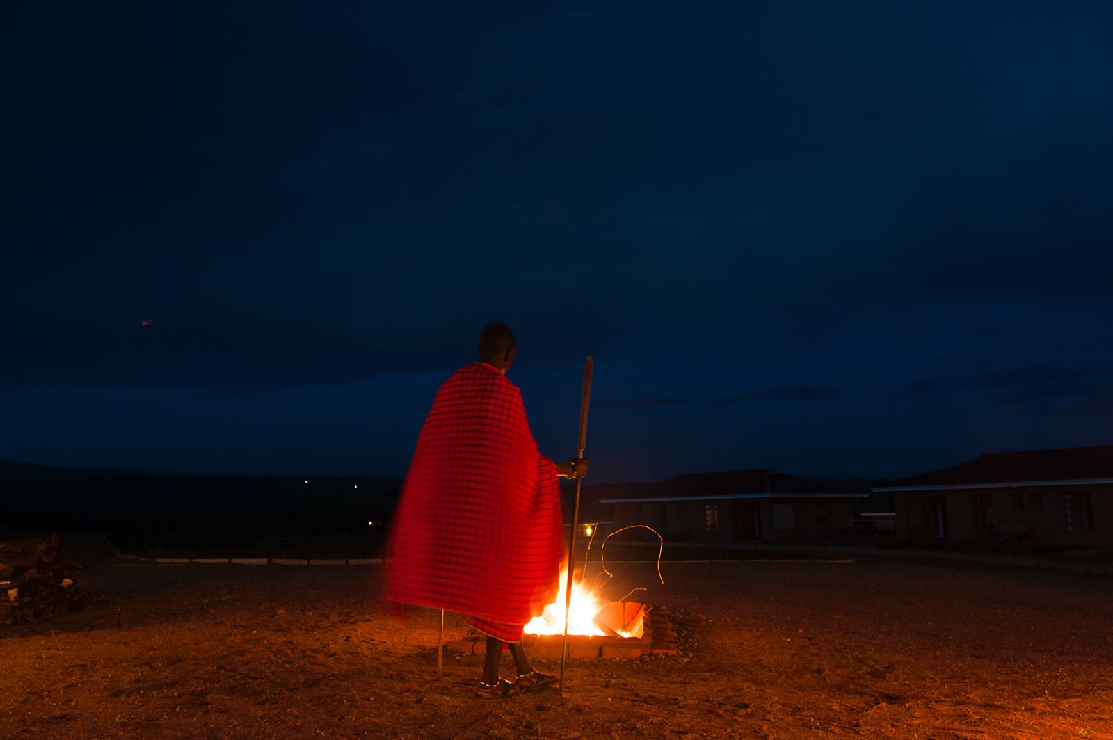 Night Sounds of the Serengeti: A Symphony of the Wild