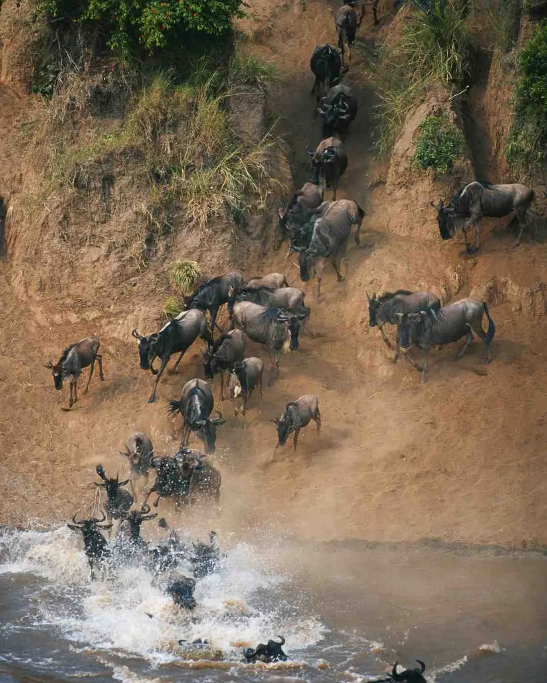Small group safari vehicle in the Serengeti