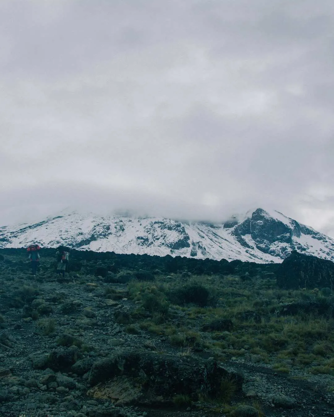 Marangu Route Kilimanjaro Trek