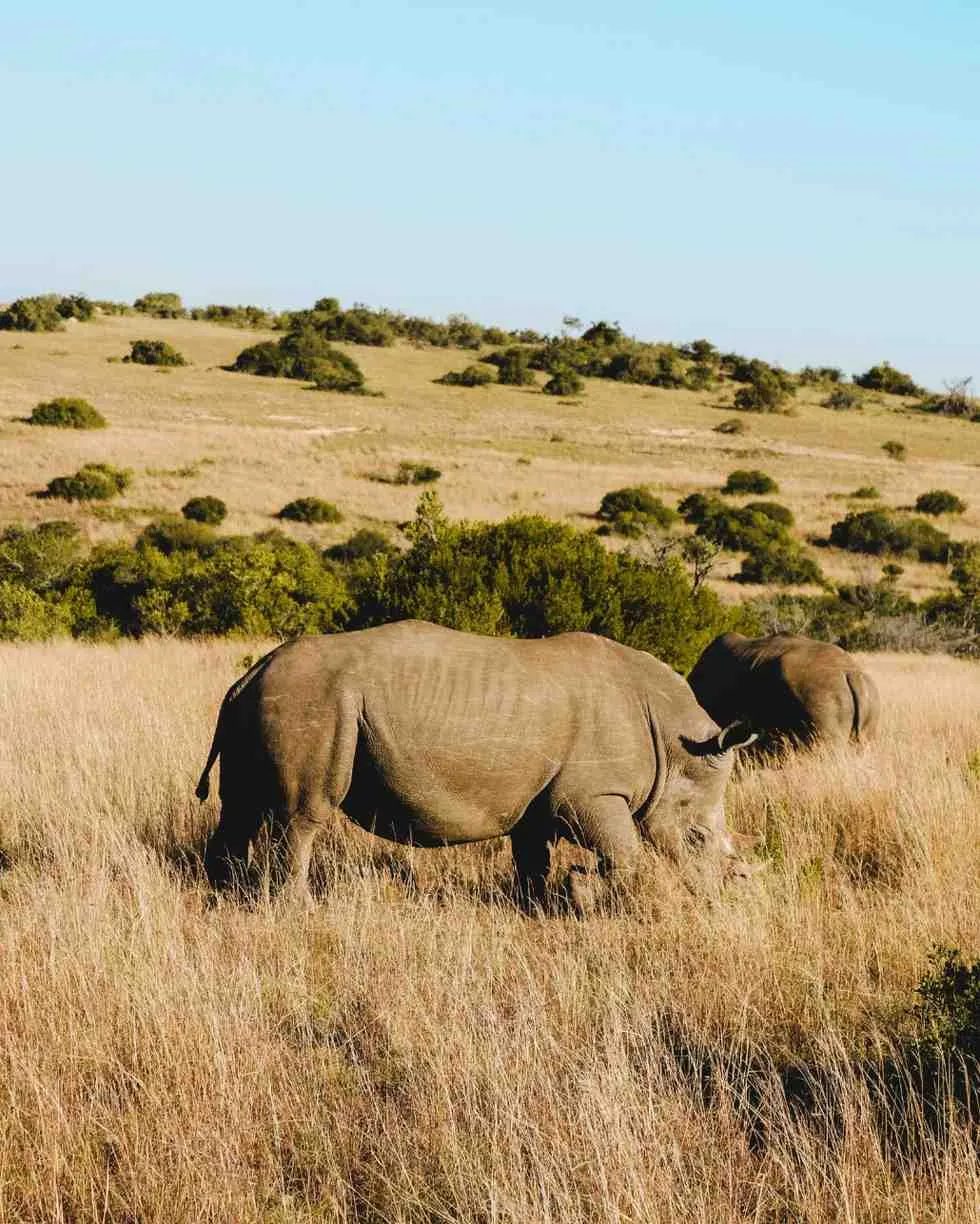 8-Day Southern Highlands Safari Nyerere