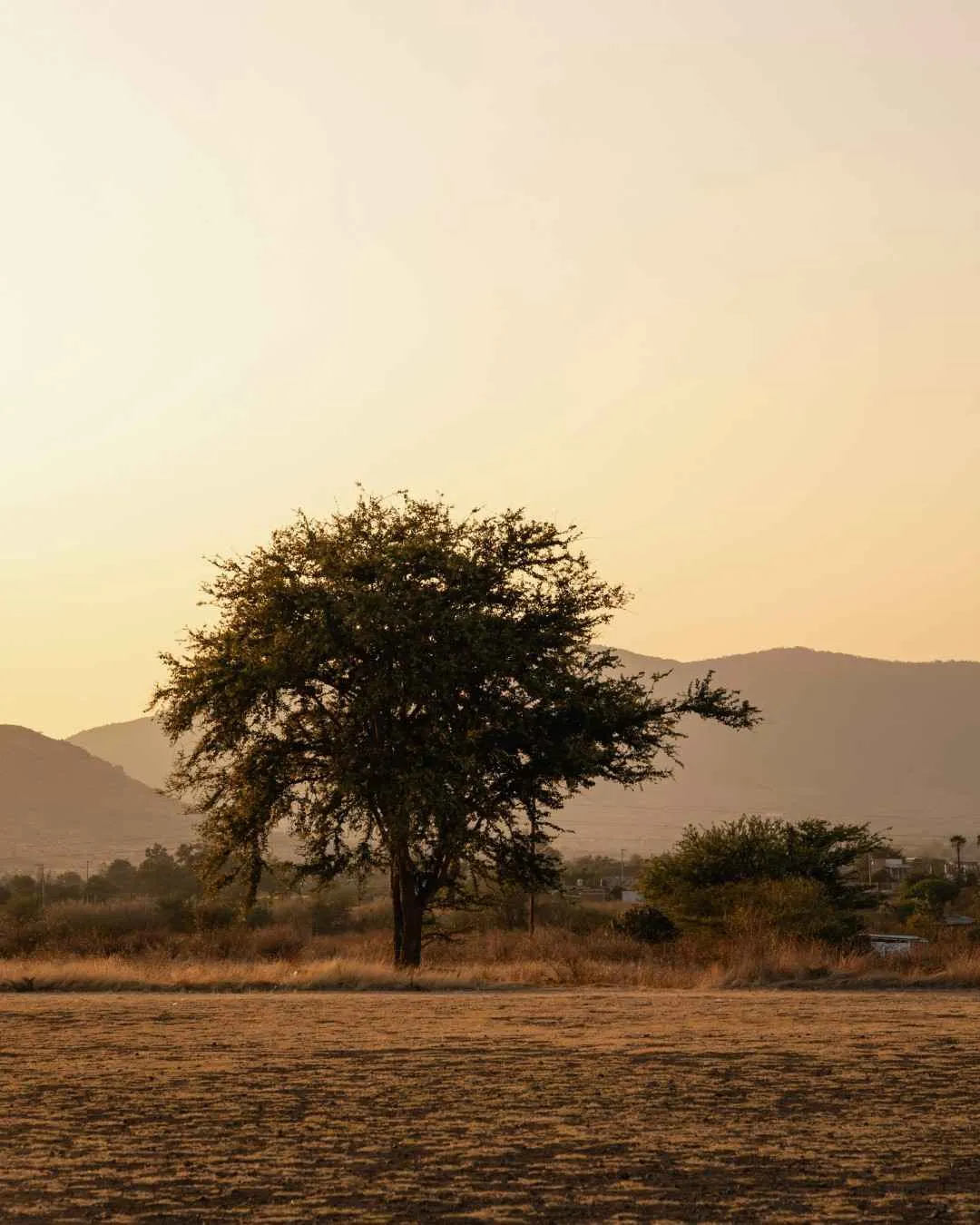 10-Day Ruaha Highlands Safari