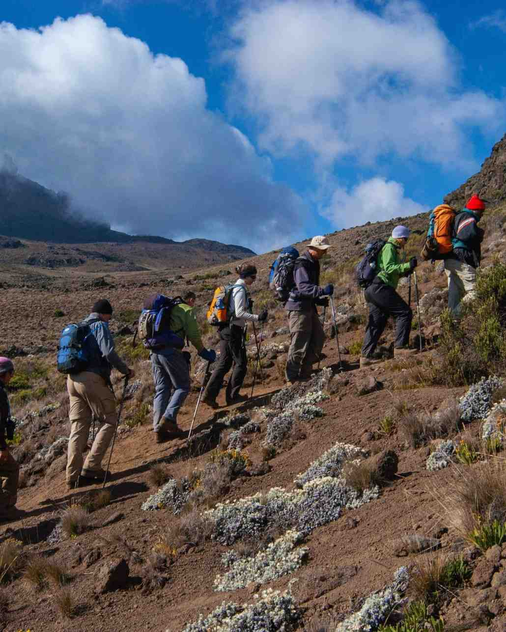 Marangu Route Kilimanjaro Trek